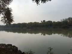 -老三羊汤【北兴隆街店】