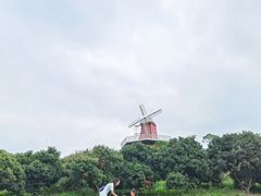-东莞植物园