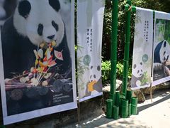 -灵玲国际马戏城