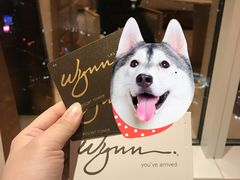 -拉斯维加斯永利酒店