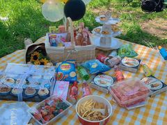 -合肥滨湖国家森林公园