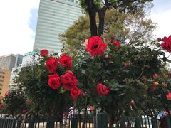 -南屏步行街