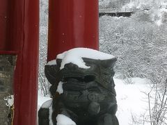 -黄龙山原始森林景区