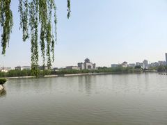 -莲花池公园