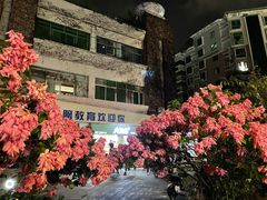 -九里香奶茶果汁(碧湖店)
