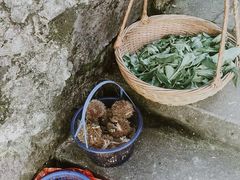-丹山赤水风景名胜区