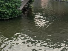-荔湾湖公园