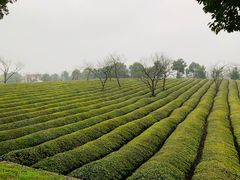 -敬亭山风景名胜区