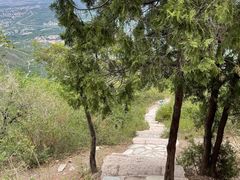 -北京西山国家森林公园