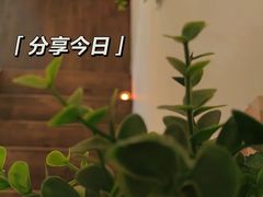 -宫七SPA·高端Massage(浦东大道店)
