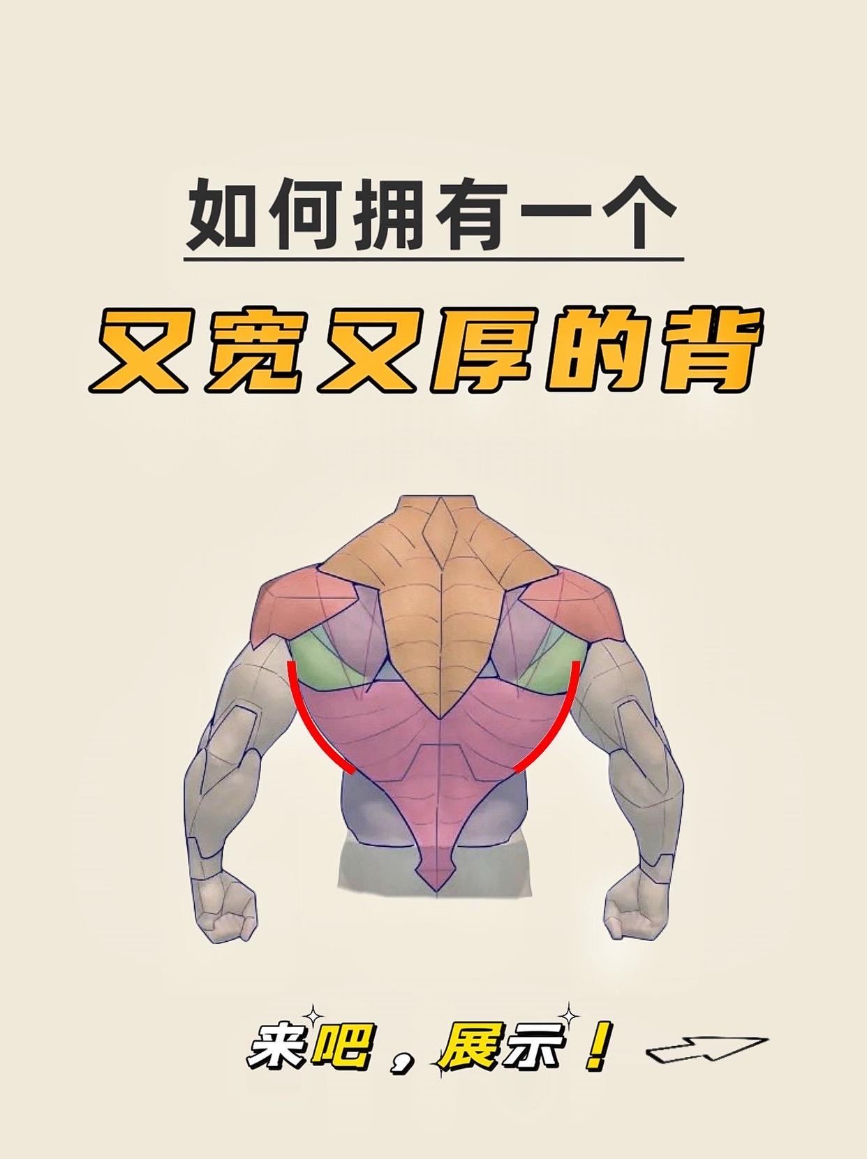 为什么背厚 为什么背厚