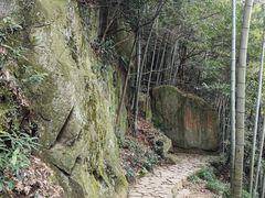-莫干山风景区