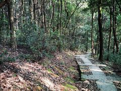 -西湖风景区十里琅珰-五云山