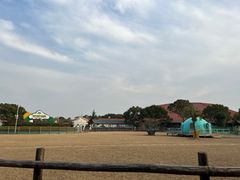 -苏州太湖西山岛开心农场