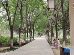 -洛阳市隋唐城遗址植物园