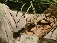 -中山市树木园