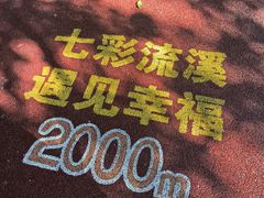 -广州市流溪河国家森林公园