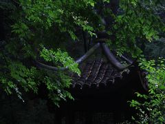 -虎跑公园