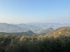 -莫干山风景区