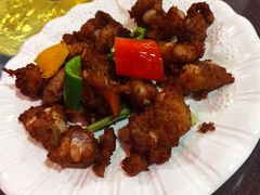 -东鸽皇(奥园·中环广场店)