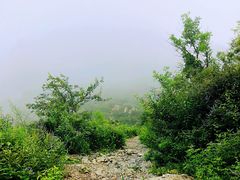 -阳台山自然风景区