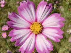 -上海滨江森林公园