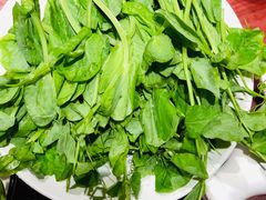 豌豆-黄家码头老火锅(解放碑旗舰店)