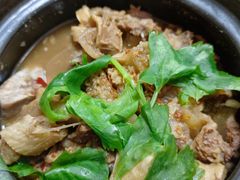 -原野牛肉岛