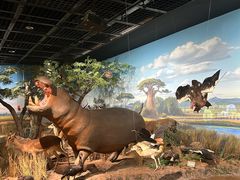 -陕西自然博物馆