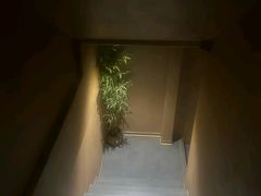 -宁采臣Sleep·采耳·SPA放松馆(湖里万达店)