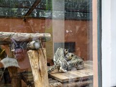 -青藏高原野生动物园