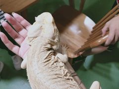 -藦茜花园宠物主题亲子互动体验馆(国顺东路店)