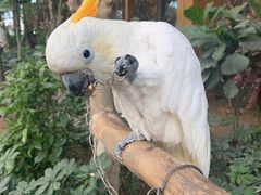 -南宫五洲植物乐园