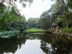 -叶家花园
