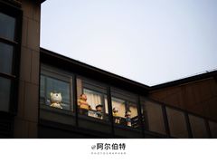 -喜马拉雅森(运河汇1958店)
