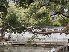 -西园戒幢律寺