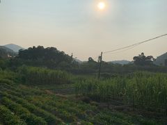 -红山村