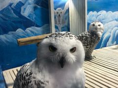 -成都浩海立方海洋公园