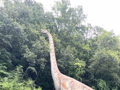 -栾川竹海野生动物园