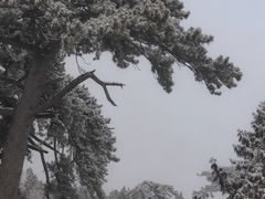 -阳台山自然风景区