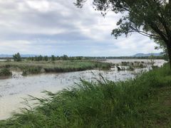 -野鸭湖国家湿地公园