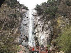 -黑河国家森林公园