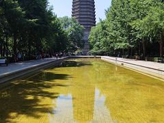 -玲珑塔公园