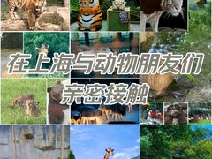 -上海野生动物园