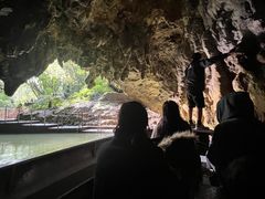 -怀托摩萤火虫洞