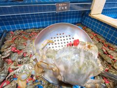 -乔哥铭洋海鲜自助(皇城恒隆广场店)