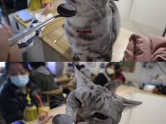 -平行世界·猫咖(首经贸店)