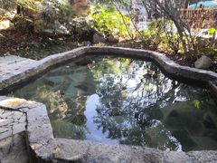 -深业半汤御泉庄温泉