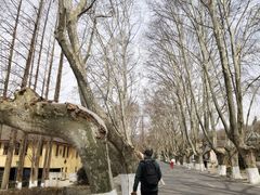-T80科技文化国际社区-停车场