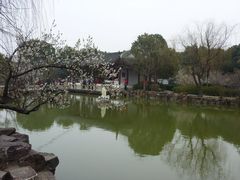 -香雪海